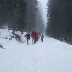 Winterwanderung_3