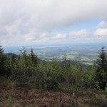 Stoisser5